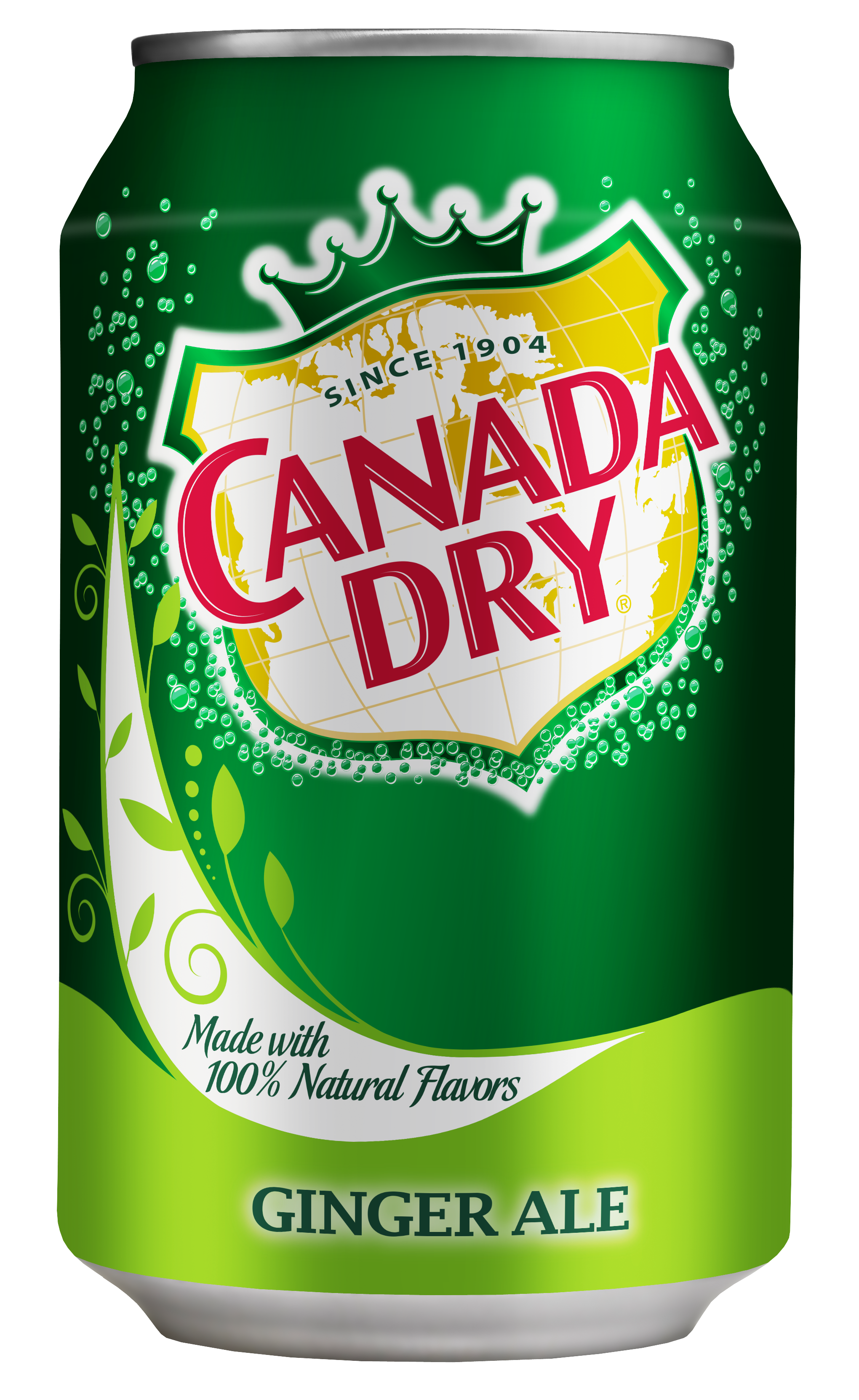 Bautura racoritoare carbogazoasa Canada Dry Ginger Ale, Doza 0.33L, 12 bucati