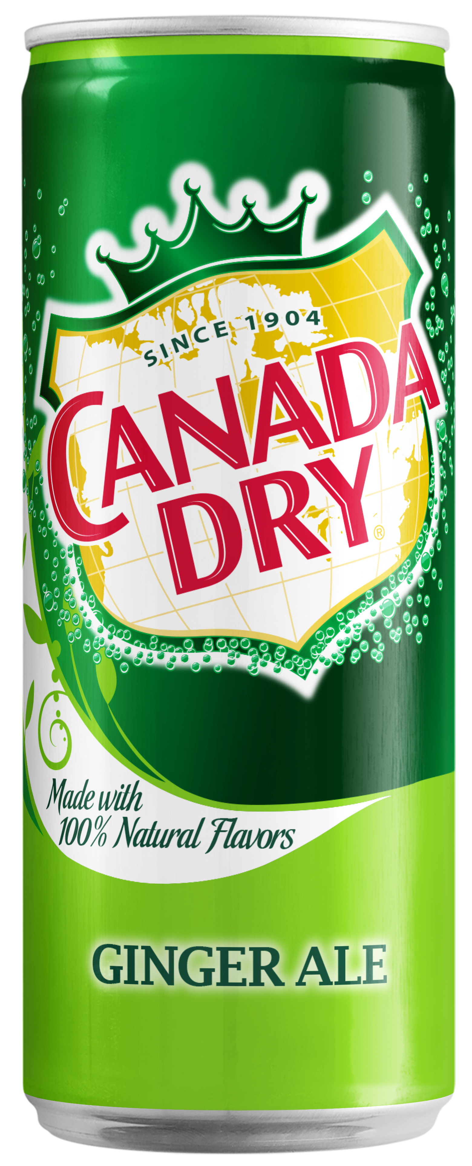 Bautura racoritoare carbogazoasa Canada Dry Ginger Ale, Doza, 24 x 0.33L