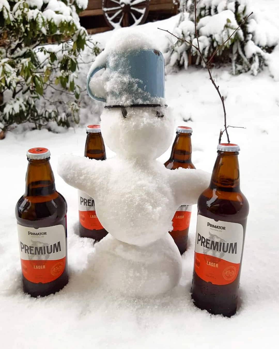 Bere Primator Premium Lager (Traditional), 5%, Sticla 0.5L, 6 bucati