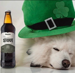 Load image into Gallery viewer, Bere neagra Primator Stout Irish Style (Top Fermented), 4.7%, Sticla 0.5L, 6 bucati
