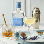 Load image into Gallery viewer, Hayman&#39;s of London Dry Gin, 41.2%, 0.7L
