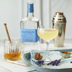 Hayman's of London Dry Gin, 41.2%, 0.7L